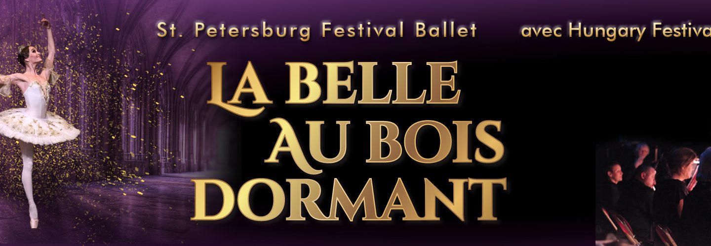 La belle au bois dormant spectacle