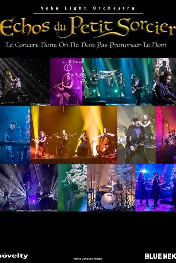 Echo du petit sorcier affiche silo