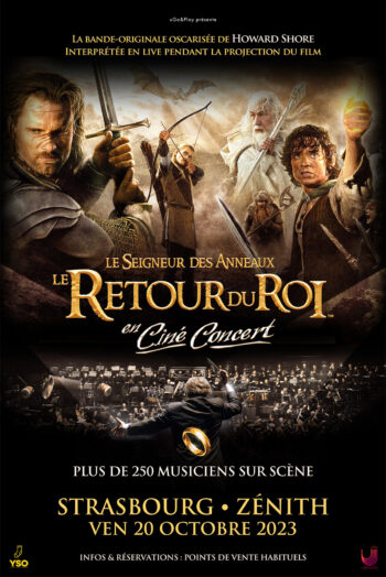 affiche LE SEIGNEUR DES ANNEAUX LE RETOUR DU ROI