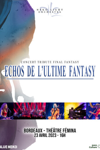 Affiche ECHOS ULTIME FANTASY